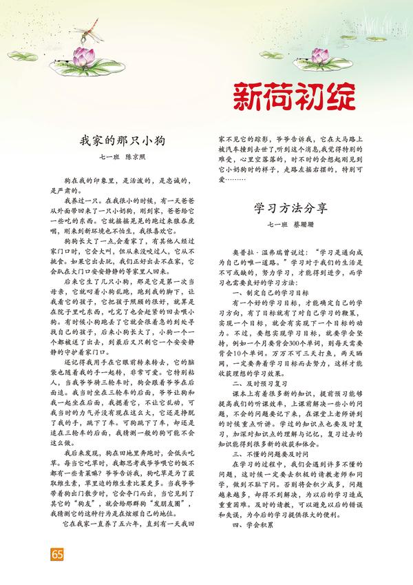 页码 (65)