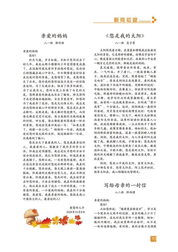页码 (70)