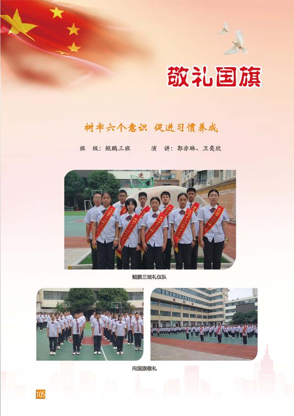 页码 (105)