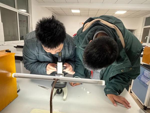 科学