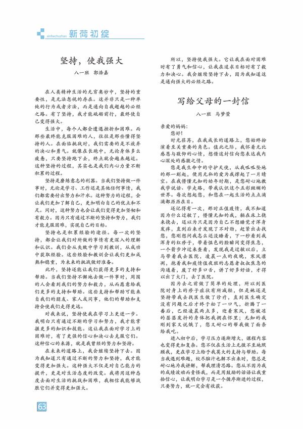 页码 (63)