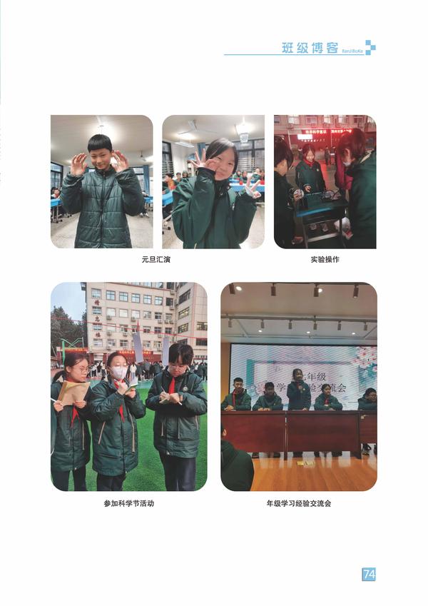 页码 (74)