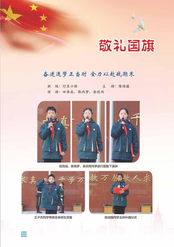 页码 (113)