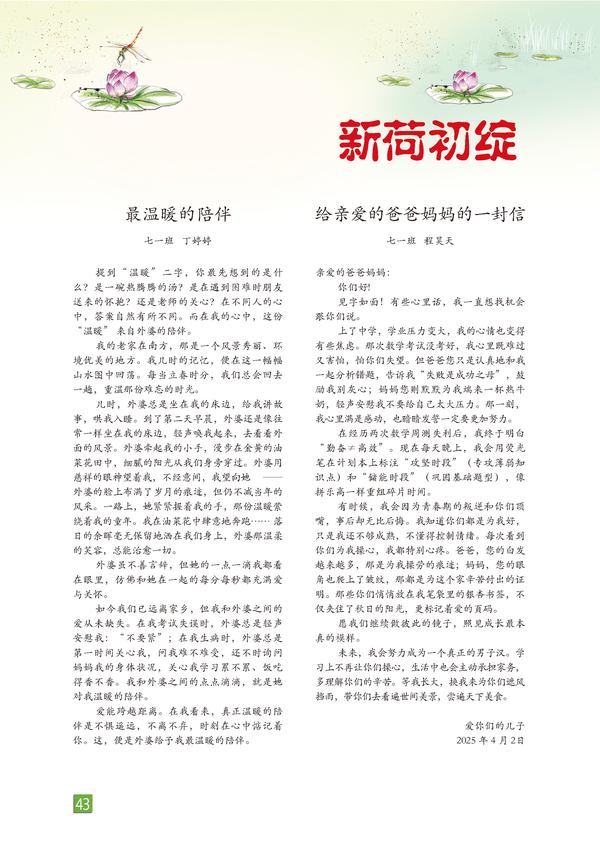 页码 (43)