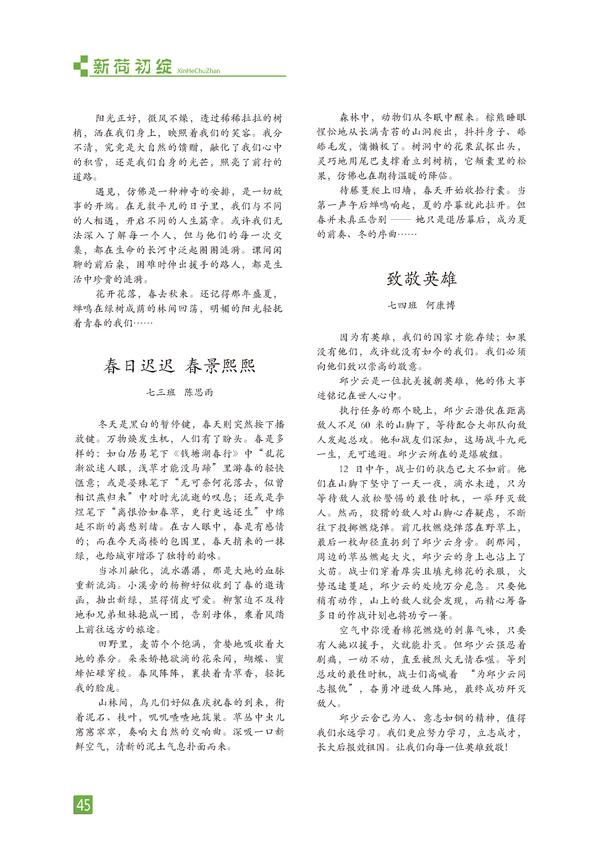 页码 (45)