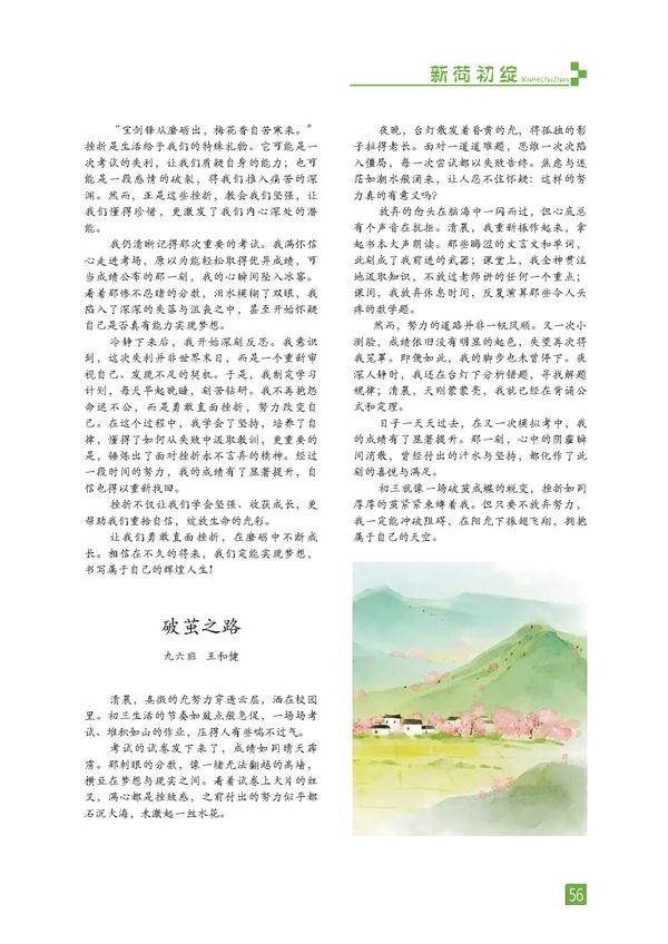 页码 (56)
