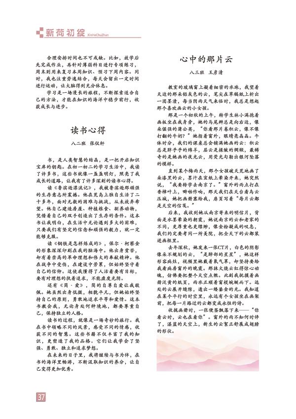 页码 (37)