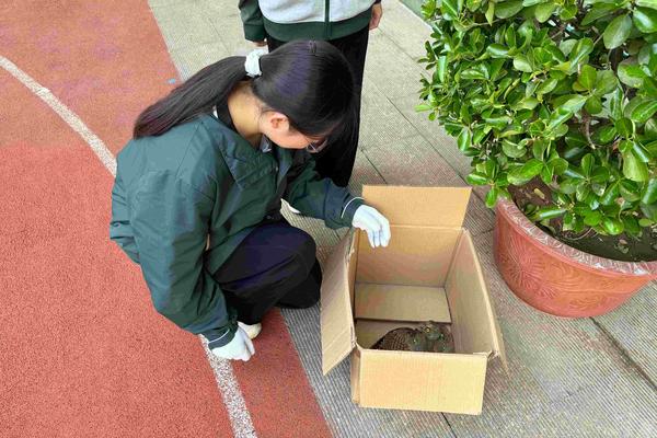1.学生发现保护动物，并进行及时救助