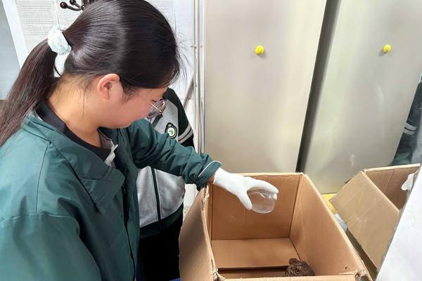 5.学生听从专业人员建议，给红脚鸮放置饮用水