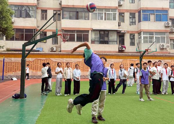 排球 (2)