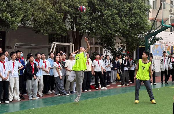 排球 (3)
