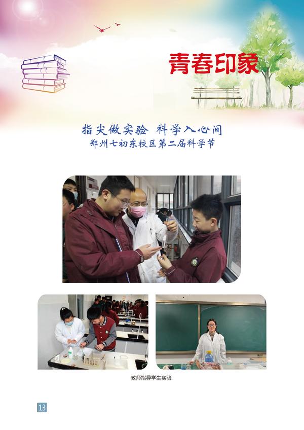 页码 (13)