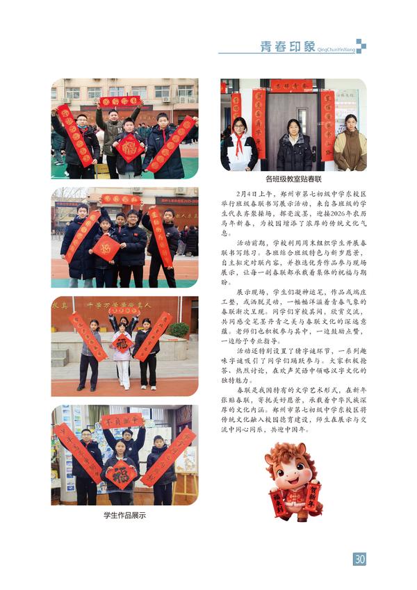 页码 (30)