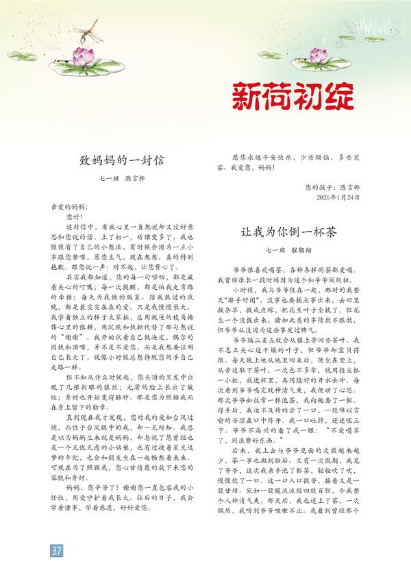 页码 (37)