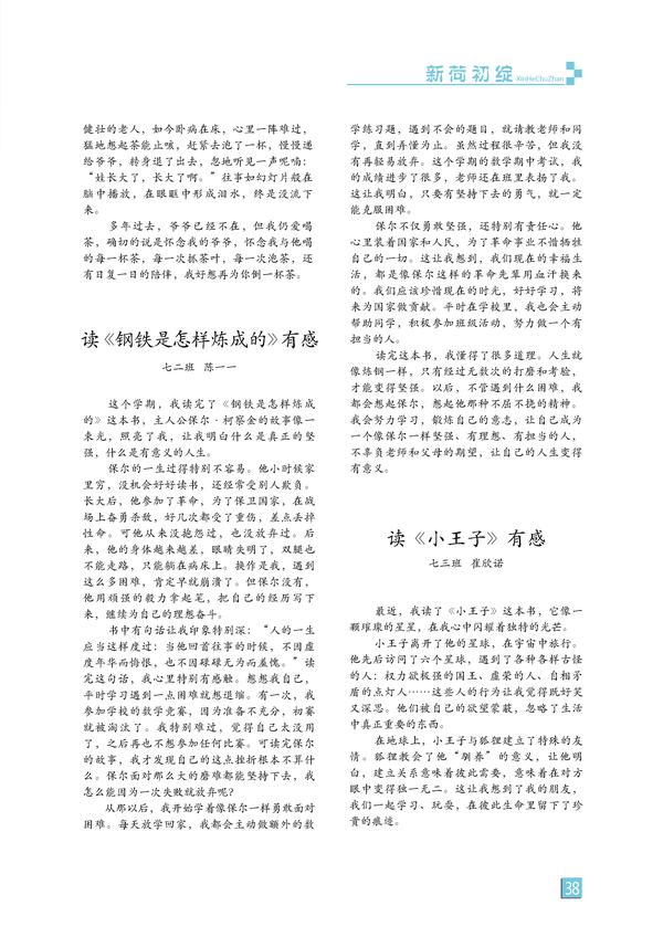 页码 (38)