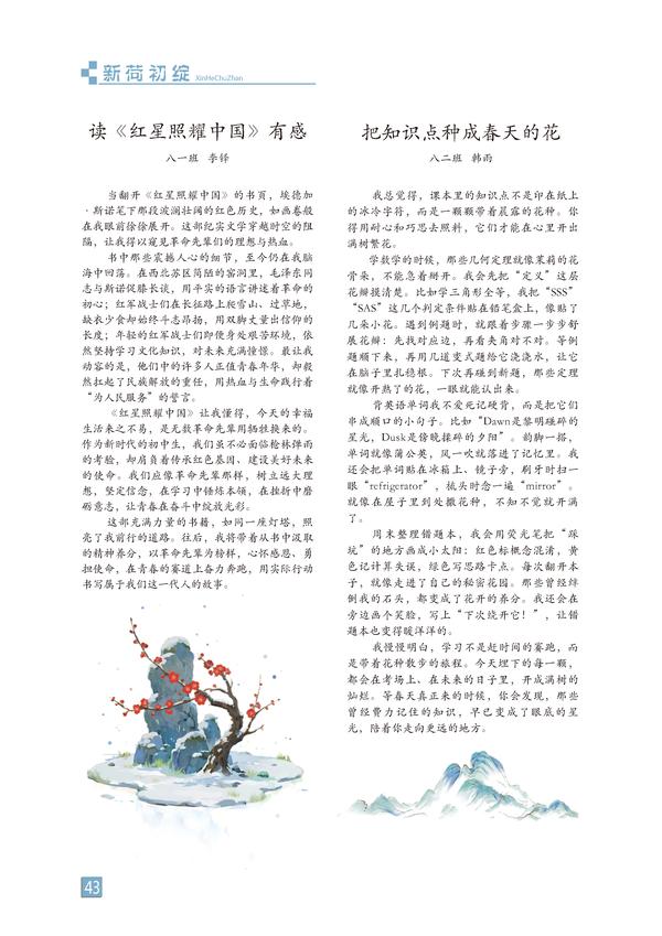 页码 (43)