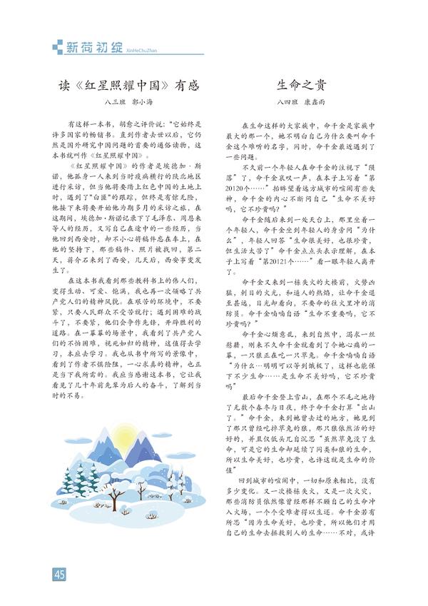 页码 (45)