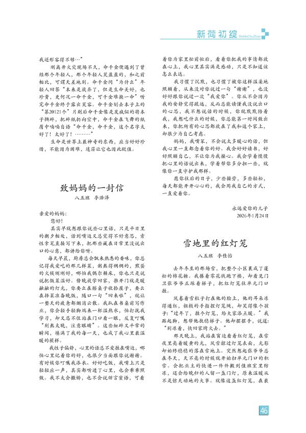 页码 (46)