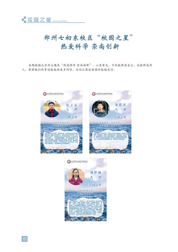 页码 (85)