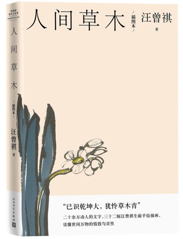 人间草木 人间草木